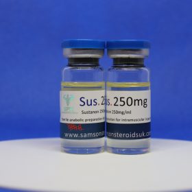 SUSTANON 250-250MG/ML (10ML) 13